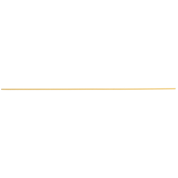 N°32 FIDELI (Spaghettini)